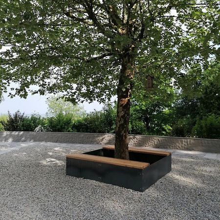 Ferienwohnung Schuhmann Mit Wintergarten Und Garten Therme Aquapulco Und Ikuna Erlebnispark, Zoo Schmiding 20 Min Mit Auto Entfernt Ab 3 Naechte Buchbar Hinzenbach Eksteriør bilde