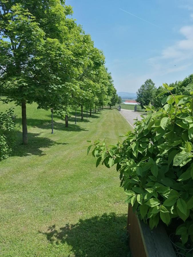 Ferienwohnung Schuhmann Mit Wintergarten Und Garten Therme Aquapulco Und Ikuna Erlebnispark, Zoo Schmiding 20 Min Mit Auto Entfernt Ab 3 Naechte Buchbar Hinzenbach Eksteriør bilde