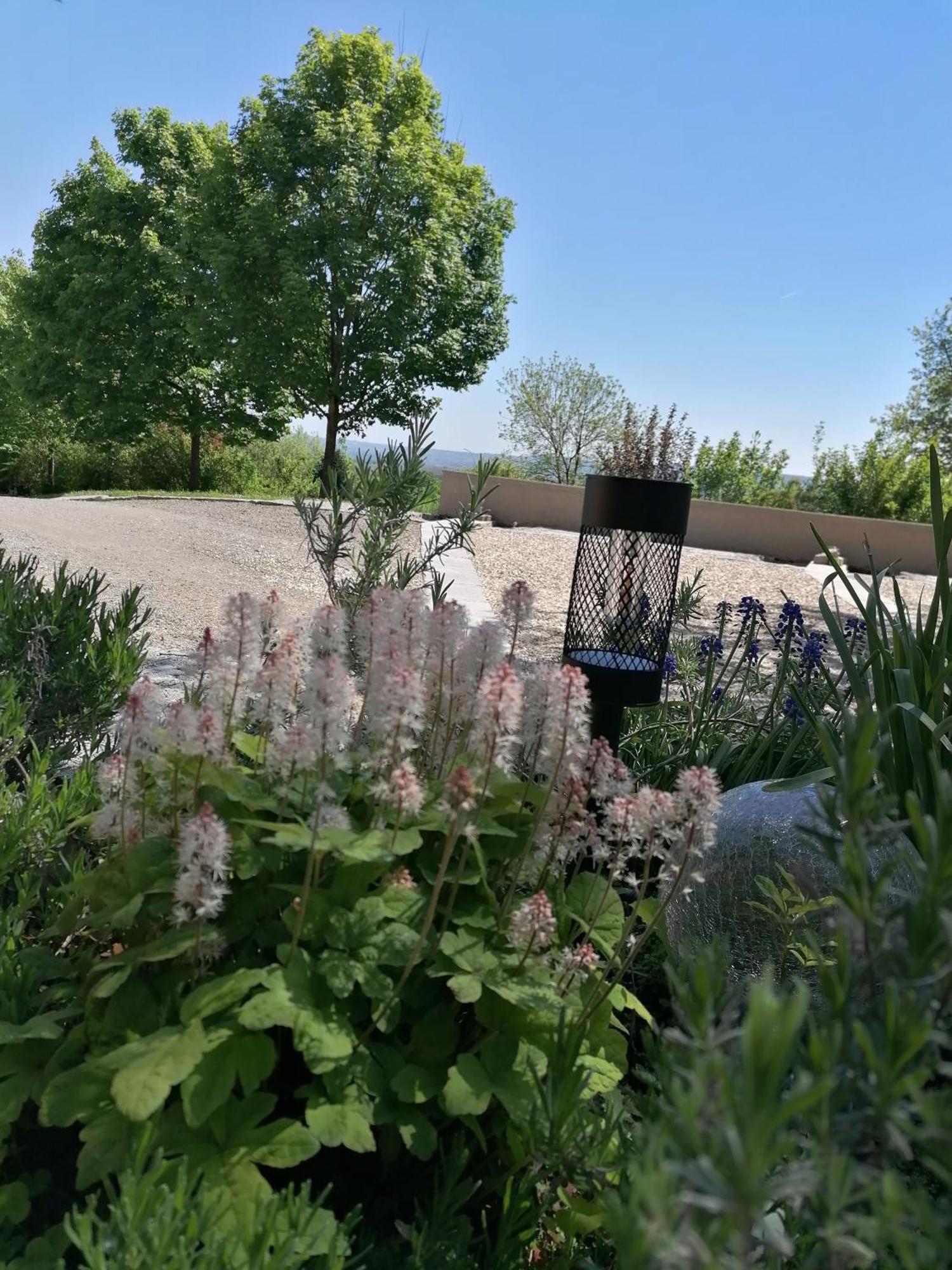 Ferienwohnung Schuhmann Mit Wintergarten Und Garten Therme Aquapulco Und Ikuna Erlebnispark, Zoo Schmiding 20 Min Mit Auto Entfernt Ab 3 Naechte Buchbar Hinzenbach Eksteriør bilde